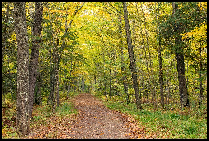 Mission photo of a path way through forest in Jay Cooke State Park Minnesota 